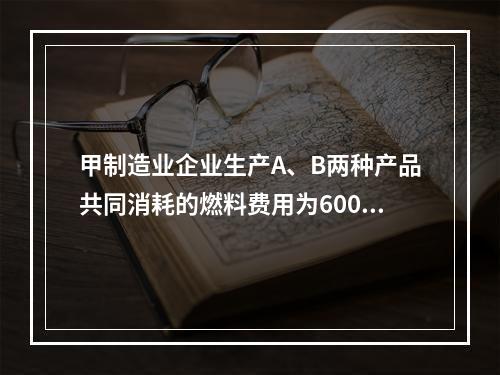 甲制造业企业生产A、B两种产品共同消耗的燃料费用为6000元