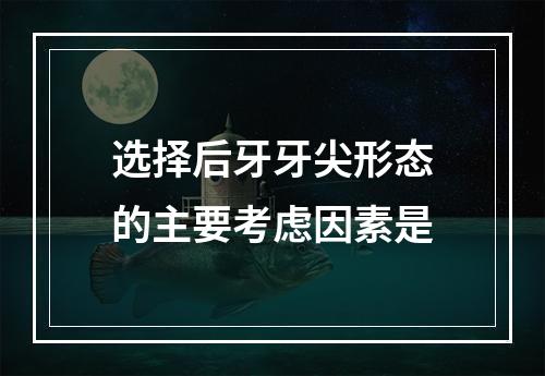 选择后牙牙尖形态的主要考虑因素是