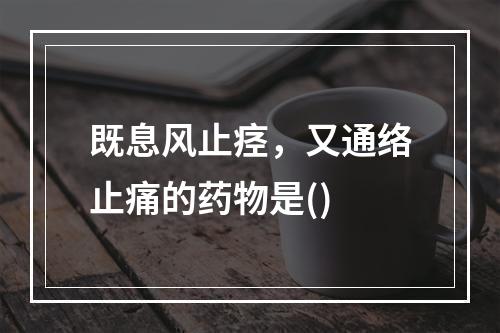 既息风止痉，又通络止痛的药物是()