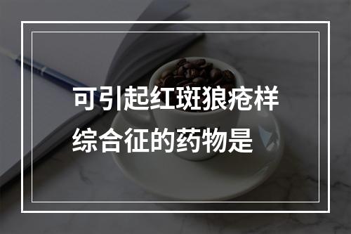 可引起红斑狼疮样综合征的药物是