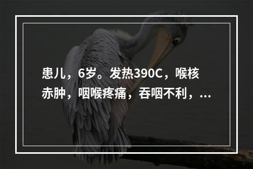 患儿，6岁。发热390C，喉核赤肿，咽喉疼痛，吞咽不利，鼻塞