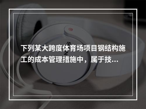 下列某大跨度体育场项目钢结构施工的成本管理措施中，属于技术措