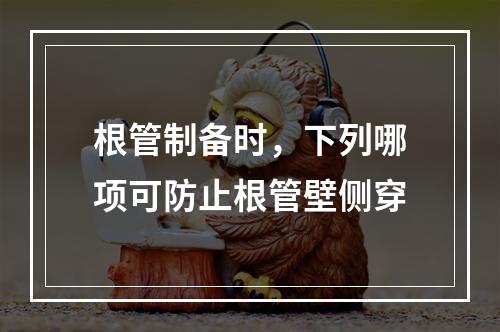 根管制备时，下列哪项可防止根管壁侧穿