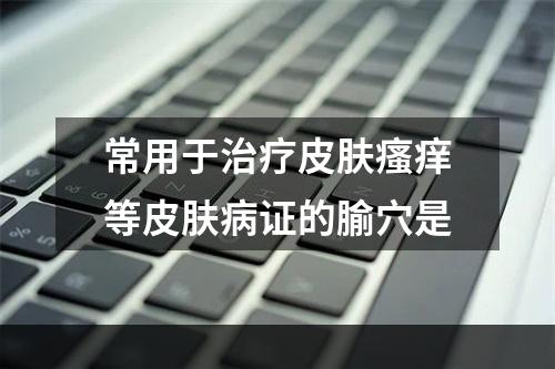 常用于治疗皮肤瘙痒等皮肤病证的腧穴是