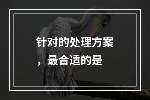 针对的处理方案，最合适的是