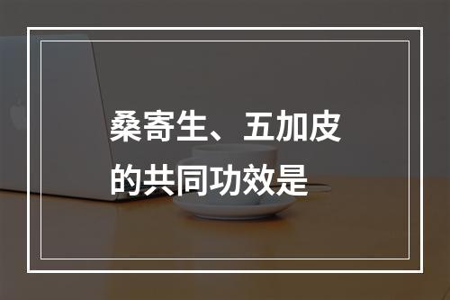 桑寄生、五加皮的共同功效是