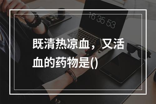 既清热凉血，又活血的药物是()