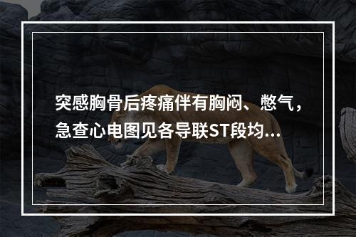 突感胸骨后疼痛伴有胸闷、憋气，急查心电图见各导联ST段均呈水