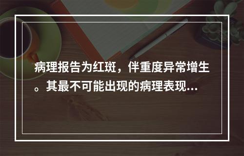 病理报告为红斑，伴重度异常增生。其最不可能出现的病理表现为（