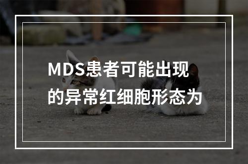 MDS患者可能出现的异常红细胞形态为