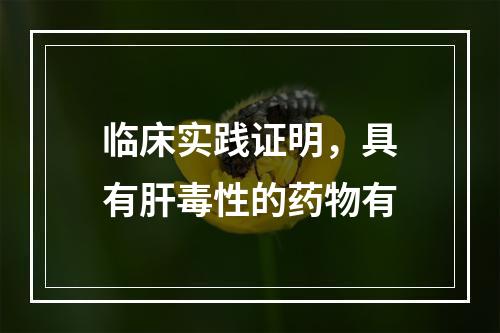 临床实践证明，具有肝毒性的药物有