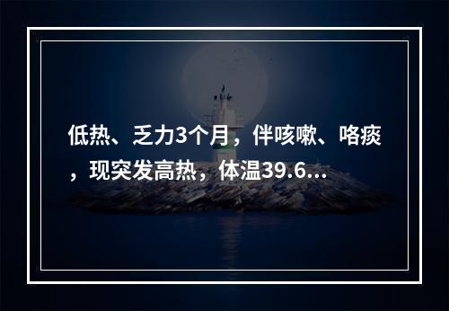 低热、乏力3个月，伴咳嗽、咯痰，现突发高热，体温39.6℃，