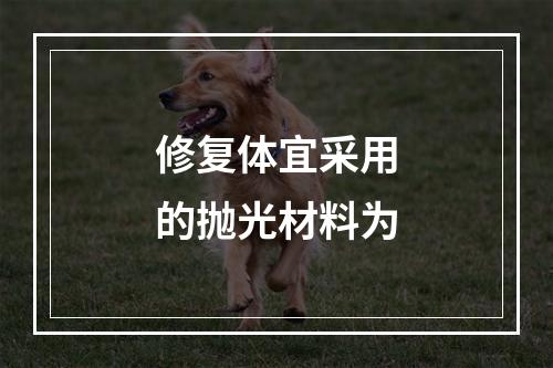 修复体宜采用的抛光材料为