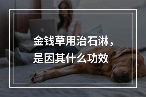 金钱草用治石淋，是因其什么功效