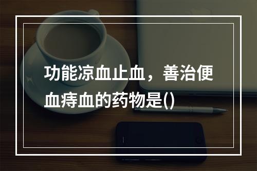 功能凉血止血，善治便血痔血的药物是()