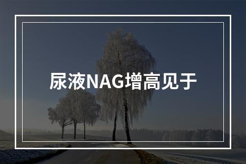 尿液NAG增高见于