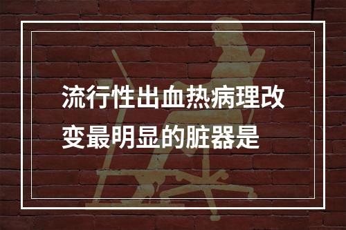 流行性出血热病理改变最明显的脏器是