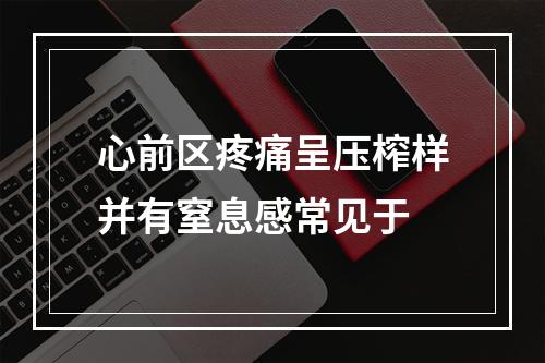 心前区疼痛呈压榨样并有窒息感常见于