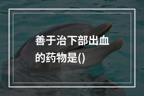 善于治下部出血的药物是()