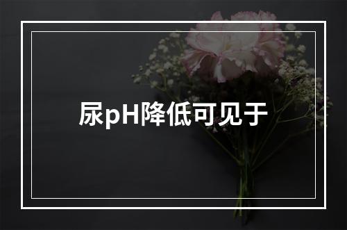 尿pH降低可见于