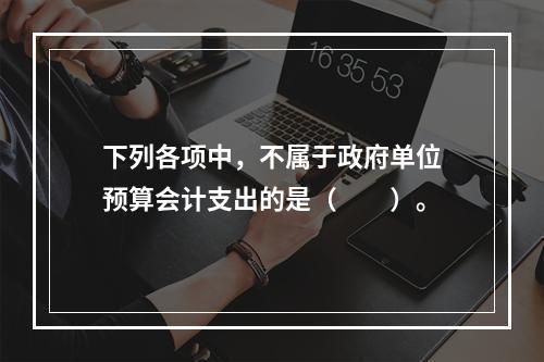 下列各项中，不属于政府单位预算会计支出的是（　　）。