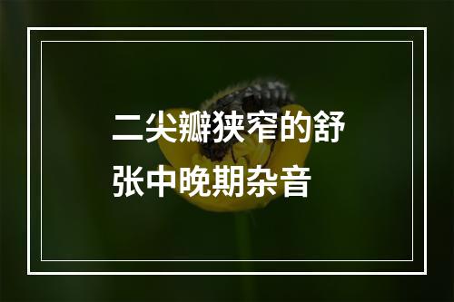 二尖瓣狭窄的舒张中晚期杂音