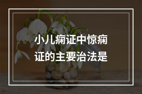 小儿痫证中惊痫证的主要治法是