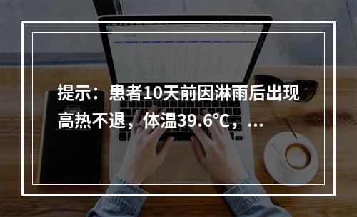 提示：患者10天前因淋雨后出现高热不退，体温39.6℃，伴有