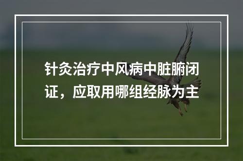 针灸治疗中风病中脏腑闭证，应取用哪组经脉为主