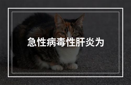 急性病毒性肝炎为