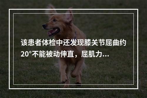 该患者体检中还发现膝关节屈曲约20°不能被动伸直，屈肌力量为