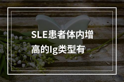 SLE患者体内增高的Ig类型有