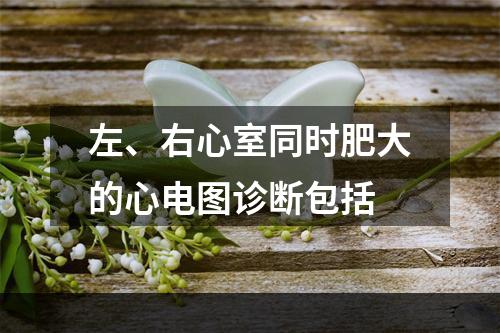 左、右心室同时肥大的心电图诊断包括