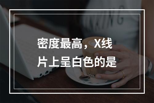 密度最高，X线片上呈白色的是