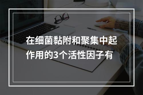 在细菌黏附和聚集中起作用的3个活性因子有