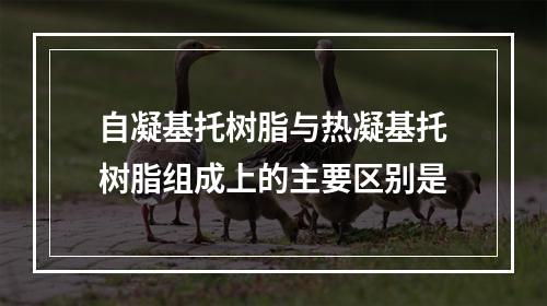 自凝基托树脂与热凝基托树脂组成上的主要区别是