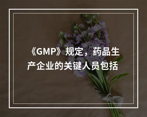 《GMP》规定，药品生产企业的关键人员包括