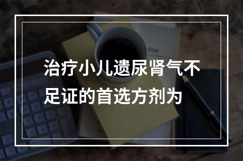 治疗小儿遗尿肾气不足证的首选方剂为