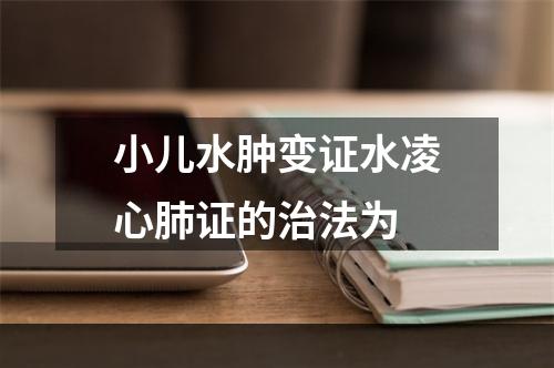 小儿水肿变证水凌心肺证的治法为