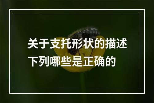 关于支托形状的描述下列哪些是正确的