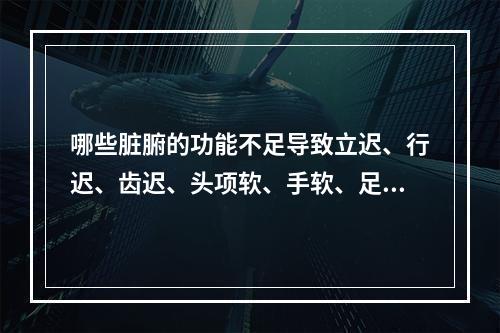 哪些脏腑的功能不足导致立迟、行迟、齿迟、头项软、手软、足软