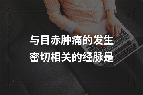 与目赤肿痛的发生密切相关的经脉是