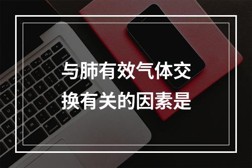 与肺有效气体交换有关的因素是