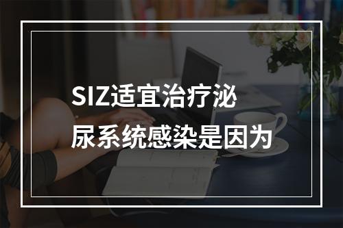 SIZ适宜治疗泌尿系统感染是因为