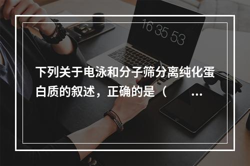 下列关于电泳和分子筛分离纯化蛋白质的叙述，正确的是（　　）