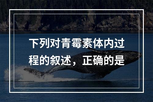 下列对青霉素体内过程的叙述，正确的是