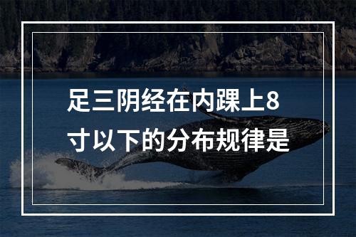 足三阴经在内踝上8寸以下的分布规律是