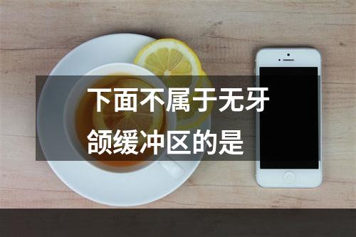 下面不属于无牙颌缓冲区的是