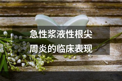 急性浆液性根尖周炎的临床表现