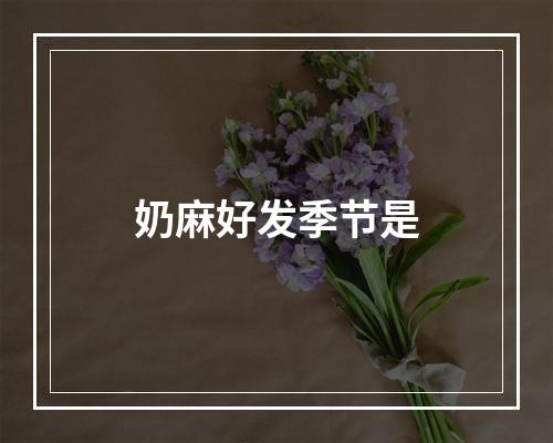 奶麻好发季节是